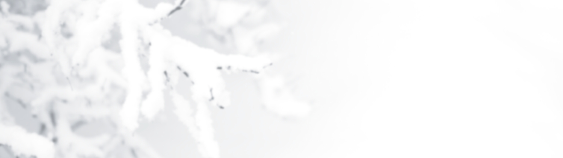 RP One launches third year of Season of Giving