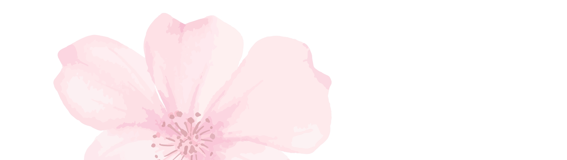 Breast Cancer Awareness: Insights into Breast Health and the Importance of Breast Density