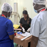 doctors demonstrating a procedure